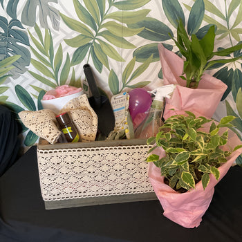 Indoor Plant Hobby Starter Pack