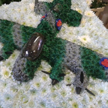 Bespoke Aeroplane Funeral Tribute